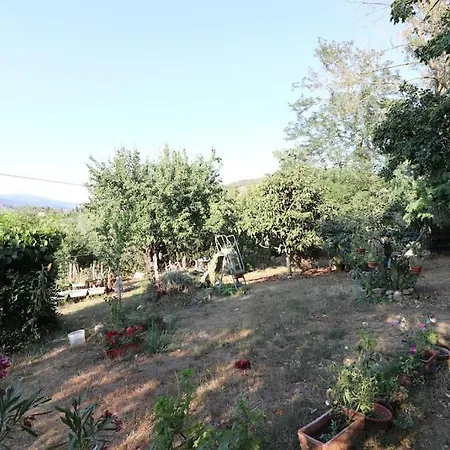 Lägenhet I Rosai Sulle Colline Fiorentine *