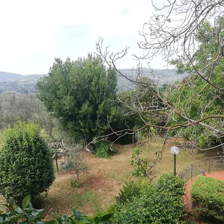 I Rosai Sulle Colline Fiorentine *