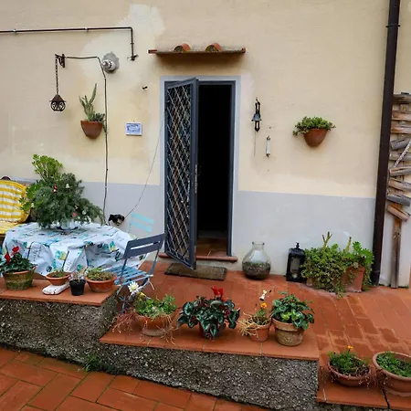I Rosai Sulle Colline Fiorentine *